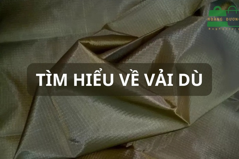 vai-du-la-vai-gi-01