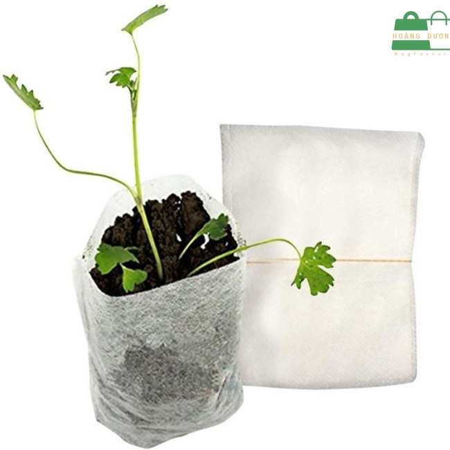 Túi vải ươm cây