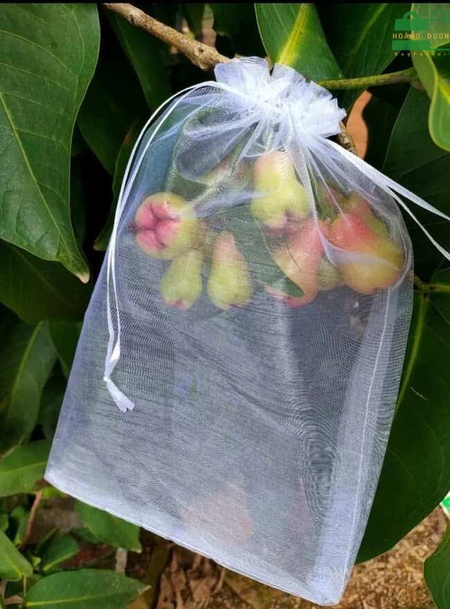 tui-vai-khong-det-boc-trai-cay-07